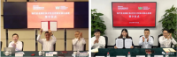 中国宝武，究竟储备了多少铁矿？